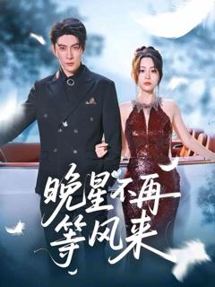 《晚星不再等风来》