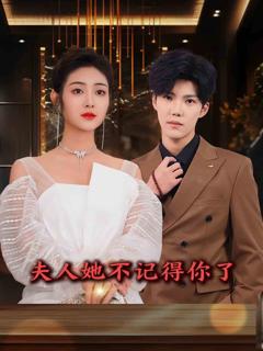 《夫人她不记得你了》