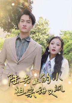 《陆先生的小祖宗甜又飒》