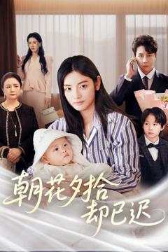 《朝花夕拾却已迟》