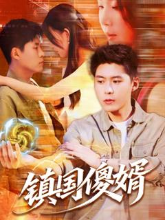 《镇国傻婿》