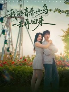 《我的青春小鸟一去再回来》