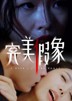 《完美假象》