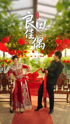 《良田佳偶》