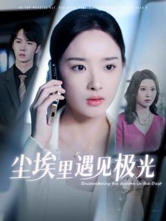 《尘埃里遇见极光》