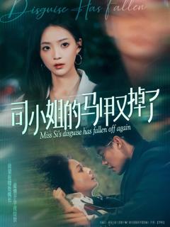 《司小姐的马甲又掉了》