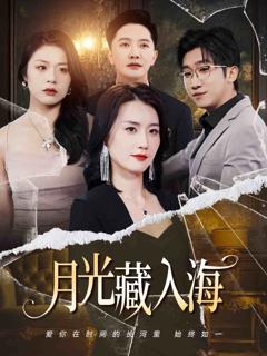 《月光藏入海》