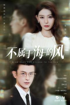 不属于海的风