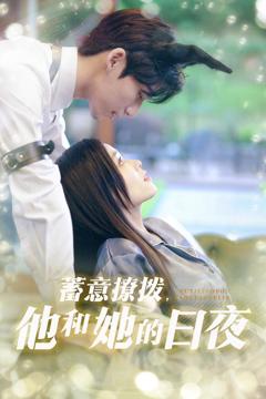 蓄意撩拨他和她的日夜