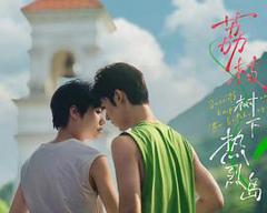 荔枝树下热烈岛电影版