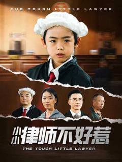 《小小律师不好惹》