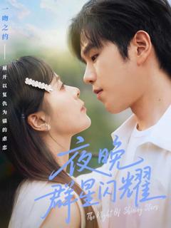 《夜晚群星闪耀》