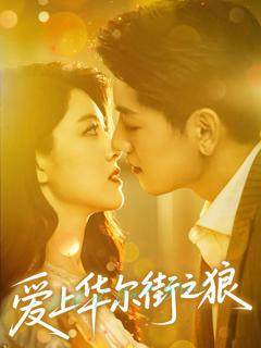 《爱上华尔街之狼》