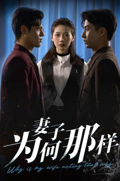 《妻子为何那样》