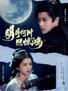 《明月何时照惊鸿》