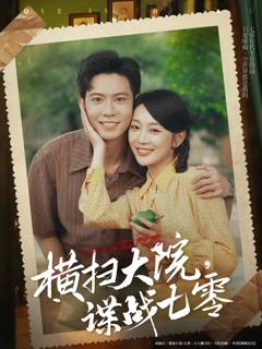 《横扫大院谍战七零》