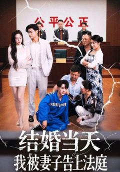 《结婚当天我被妻子告上法庭》
