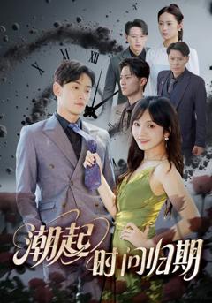 《潮起时问归期》