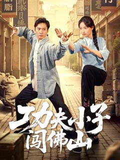 《功夫小子闯佛山》