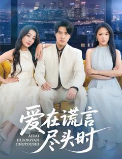 《爱在谎言尽头时》