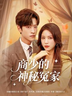 《商少的神秘冤家》