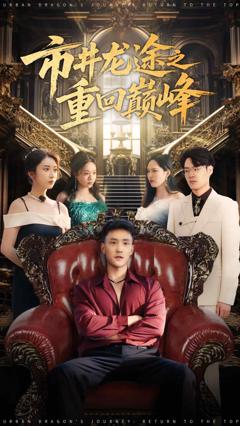 《市井龙途之重回巅峰》