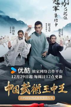 《中国武术王中王第二季》