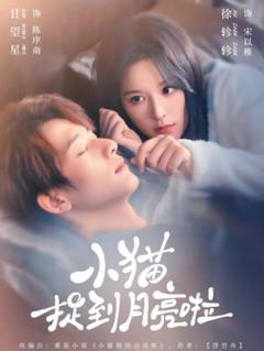 《小猫捉到月亮啦》