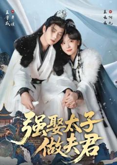 《强娶太子做夫君》