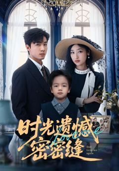 时光遗憾密密缝