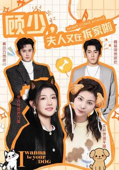 《顾少，夫人又在拆家啦》