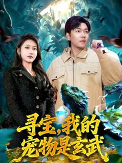 《寻宝，我的宠物是玄武》