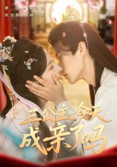 《三公主今天成亲了吗》