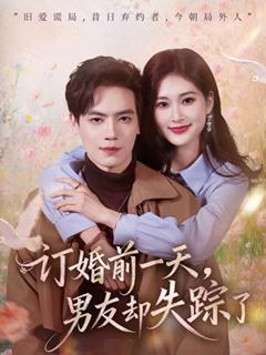 《订婚前一天，男友却失踪了》