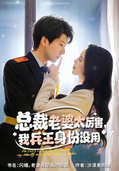 《总裁老婆太厉害，我兵王身份没用》