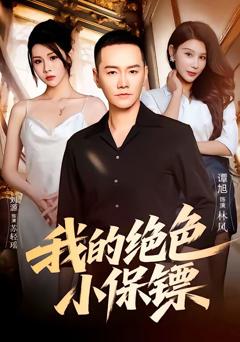 我的绝色小保镖