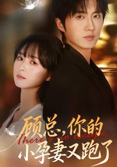 《顾总，你的小孕妻又跑了》