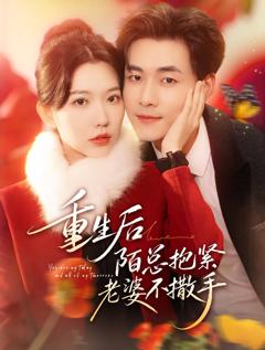 重生后陌总抱紧老婆不撒手