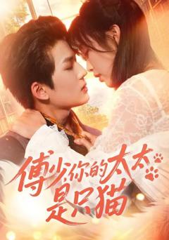 《傅少，你的太太是只猫》