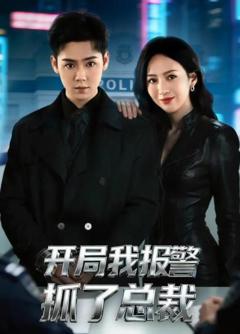 《开局我报警抓了总裁》