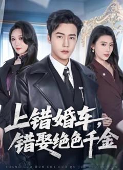 《上错婚车，错娶绝色千金》