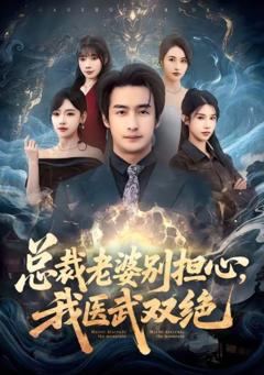 《总裁老婆别担心，我医武双绝》