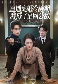 《直播离婚冷静期，我成了全网公敌》
