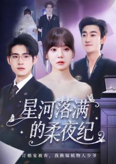 《星河落满的柔夜纪》