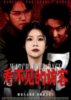 《看不见的访客》