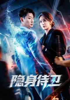 《隐身侍卫》