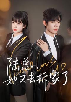 《陆总，她又去拆家了》