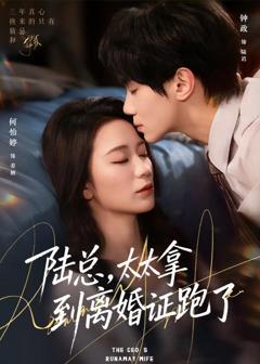 《陆总，太太拿到离婚证跑了》