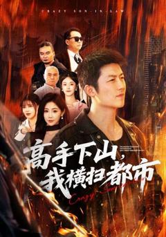 《高手下山，我横扫都市》