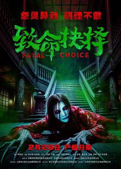 《致命抉择》